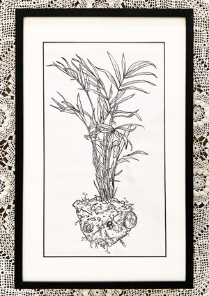 Trashplants 1 (Framed) (32*50 cm)